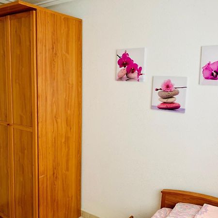 Apartamento Felix De La Fuente Torrevieja Exterior foto