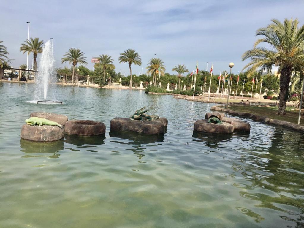 Apartamento Felix De La Fuente Torrevieja Exterior foto